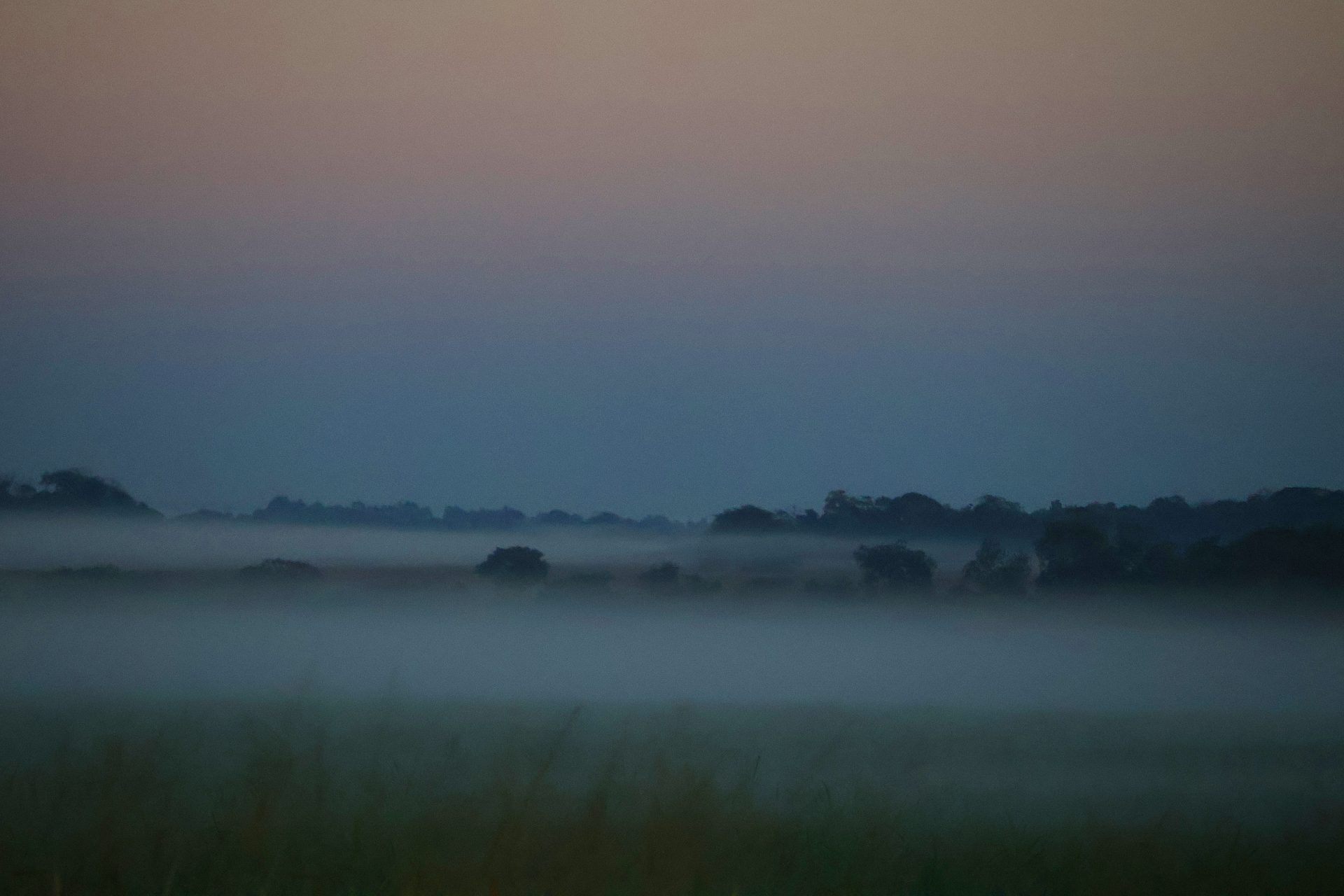 Céu nublado e neblina durante frente fria em Mato Grosso do Sul