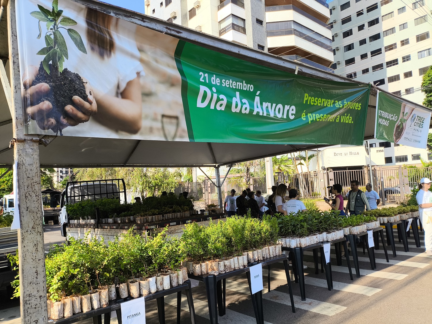 Mudas frutíferas em saquinhos sobre bancas sob tenda com faixa do Dia da Árvore, em distribuição da Prefeitura de Campo Grande