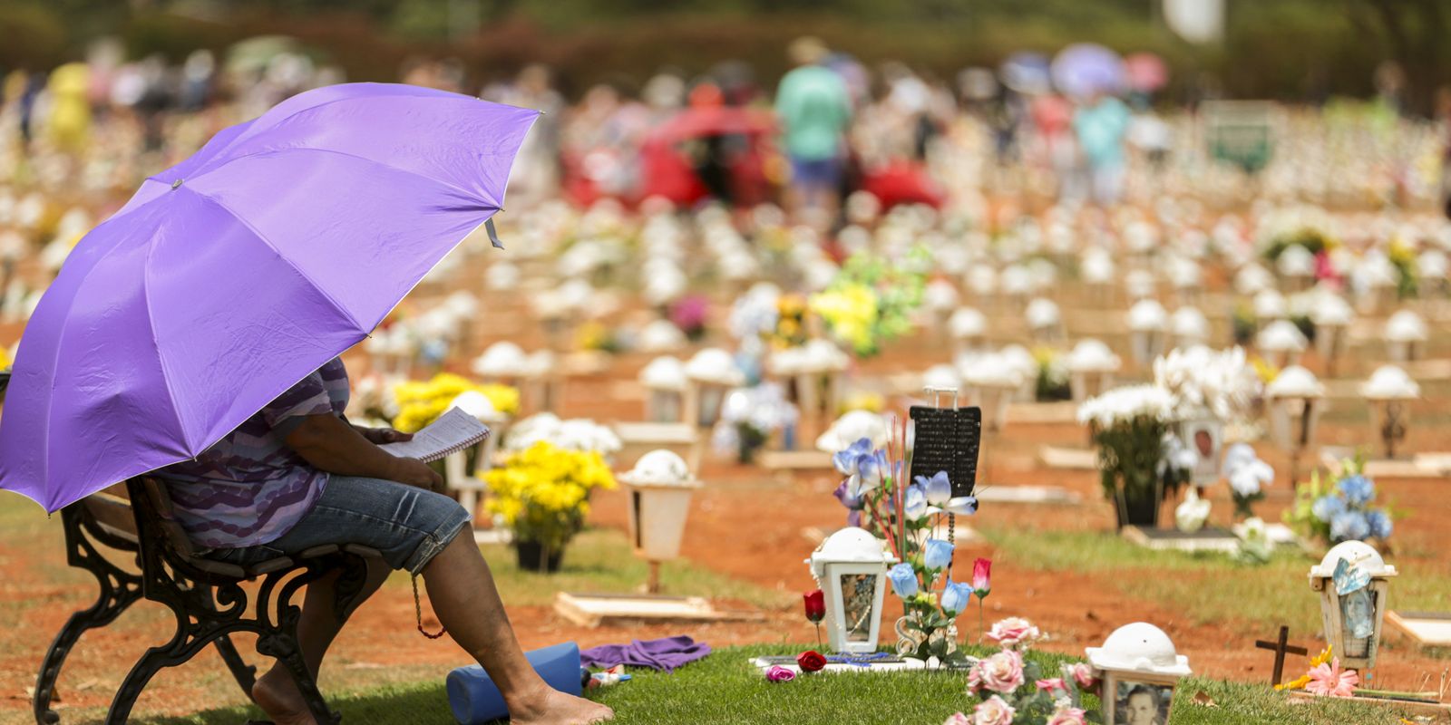 Pessoa sentada sob guarda-chuva roxo em cemitério com túmulos enfeitados de flores