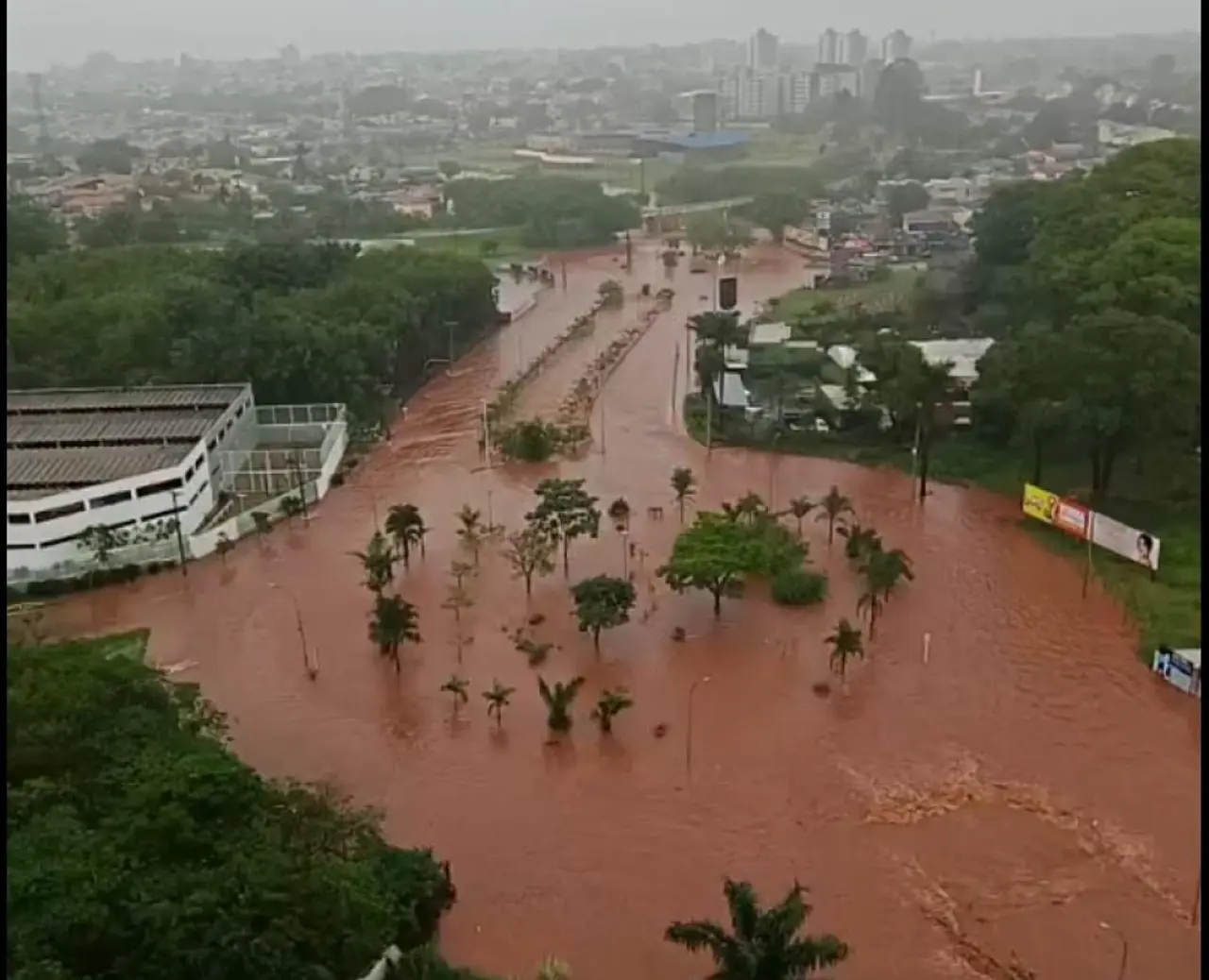 Vista do alto de uma avenida de Campo Grande coberta por água barrenta, com palmeiras no canteiro e prédios ao fundo