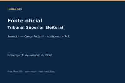 Arte institucional sem rosto, com a indicação de fonte oficial do Tribunal Superior Eleitoral