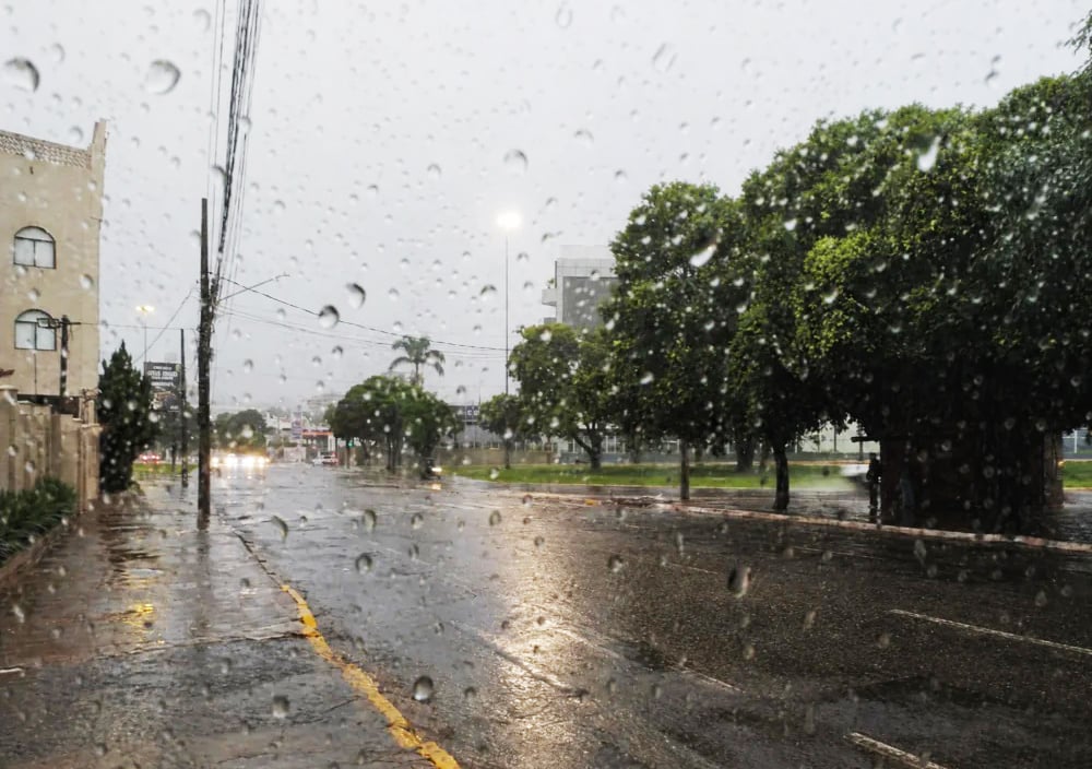 Avenida molhada sob chuva vista através de vidro com gotas, com árvores e postes ao fundo